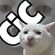 cic cat