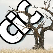 cic tree