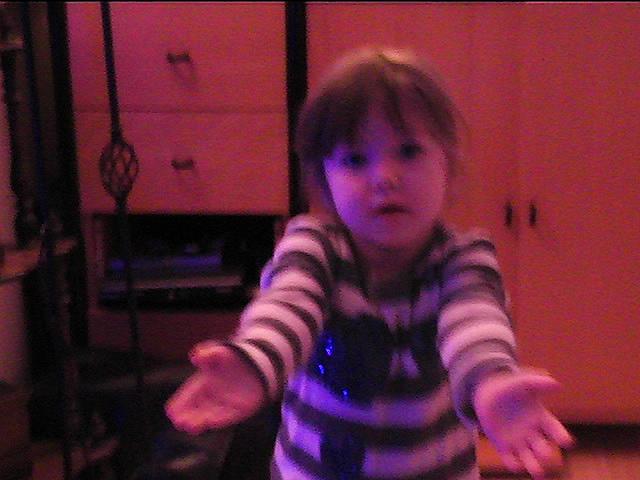 PIC 0041
