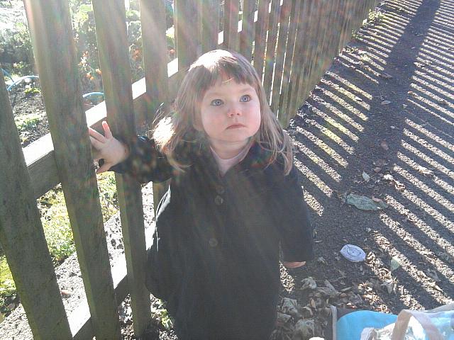 Photo0115