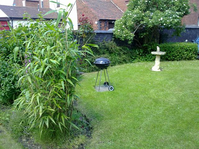 BBQ and Squirrel