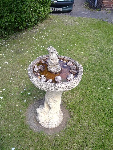 Squirrel where he should be!