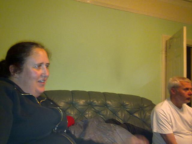 Vixen and Kingy