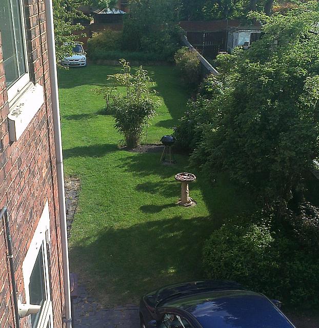squirrel_2013.jpg