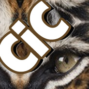 cic tiger