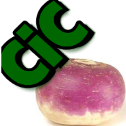 turnip green2