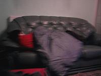 Photo0803