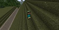 creeper